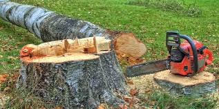 Best Tree and Shrub Care  in Smithville, TN