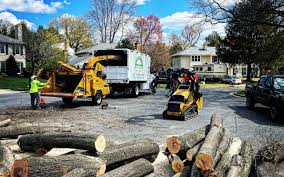 Best Tree and Shrub Care  in Smithville, TN