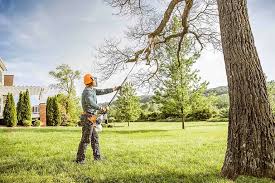 Best Tree Disease Treatment  in Smithville, TN