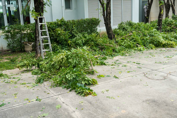 Best Lawn Maintenance Plans  in Smithville, TN
