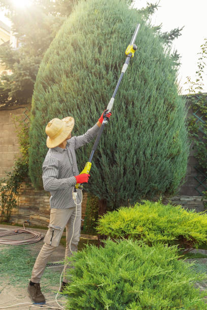 Best Tree Trimming and Pruning  in Smithville, TN
