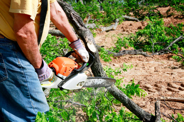Best Tree Risk Assessment  in Smithville, TN